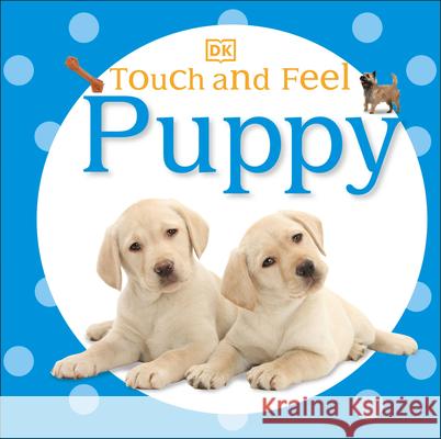 Touch and Feel: Puppy DK Publishing 9780756691660 DK Publishing (Dorling Kindersley) - książka