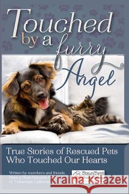 Touched By A Furry Angel Chelley Kitzmiller 9781512032017 Createspace Independent Publishing Platform - książka
