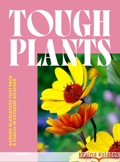 Tough Plants: Garden gladiators that pack a punch in extreme weather Val Bourne 9781035417599 Headline Publishing Group - książka