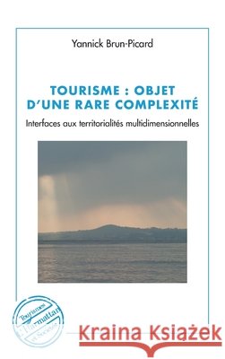Tourisme: objet d'une rare complexité Interfaces aux territorialités multidimensionnelles Brun-Picard, Yannick 9782343182551 Editions L'Harmattan - książka