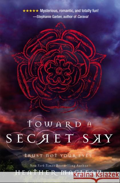 Toward a Secret Sky Heather MacLean 9780310754879 Blink - książka