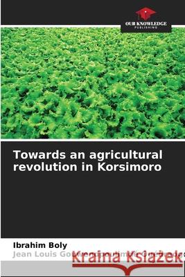 Towards an agricultural revolution in Korsimoro Boly, Ibrahim, Ouédraogo, Jean Louis Gouwendpoulimdé 9786208850302 Our Knowledge Publishing - książka