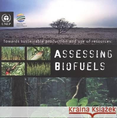 Towards Sustainable Production and Use of Resources: Assessing Biofuels (Includes CD-Rom) United Nations 9789280730524 United Nations Environment Programme - książka