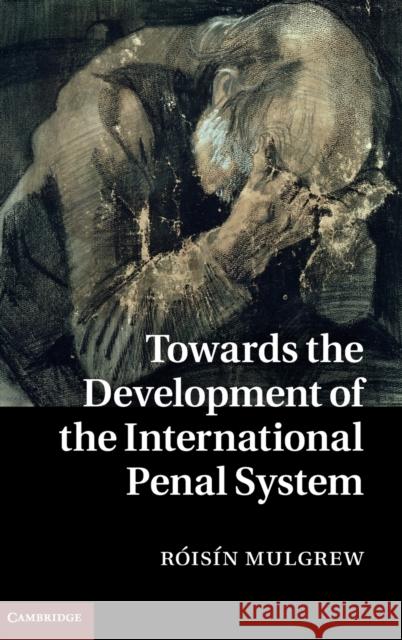 Towards the Development of the International Penal System Roisin Mulgrew 9781107027411  - książka