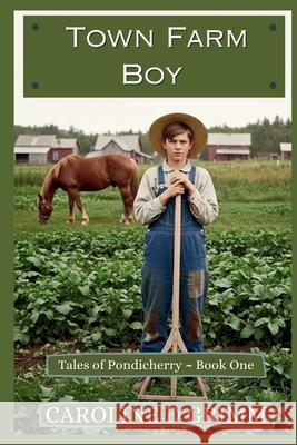 Town Farm Boy Caroline D. Grimm 9781970268003 Lark Books (NC) - książka