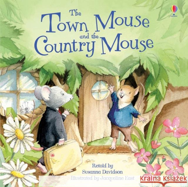 Town Mouse and Country Mouse Susanna Davidson 9781409555940 Usborne Publishing Ltd - książka