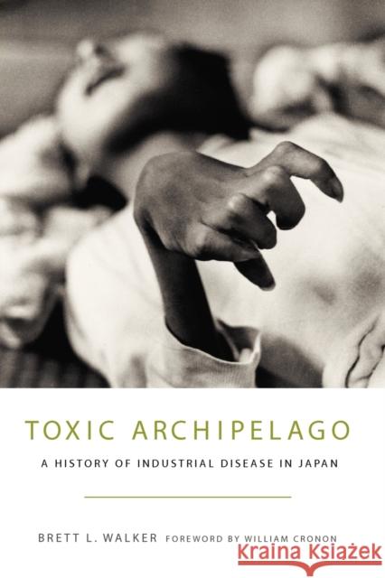 Toxic Archipelago: A History of Industrial Disease in Japan Walker, Brett L. 9780295991382 University of Washington Press - książka