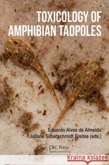 Toxicology of Amphibian Tadpoles  9780367549671 Taylor & Francis Ltd - książka