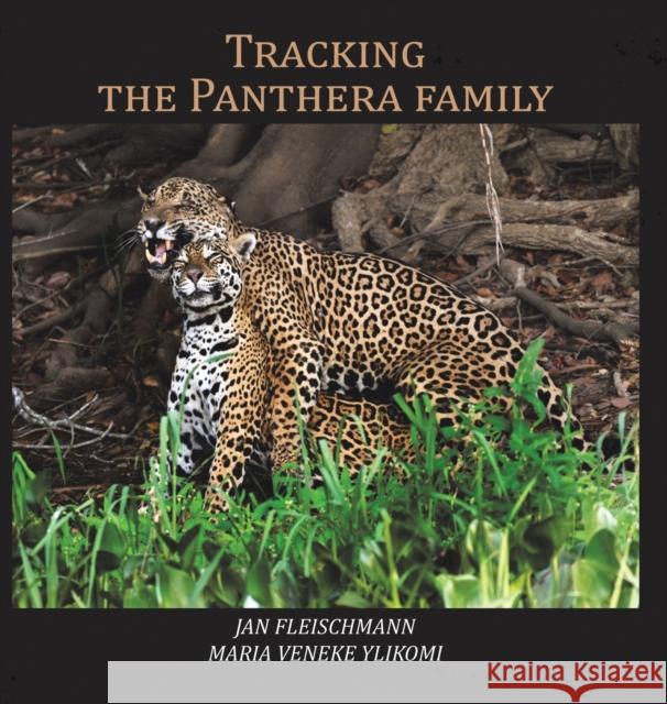Tracking the Panthera family Jan Fleischmann, Maria Veneke Ylikomi 9781788481182 Austin Macauley Publishers - książka