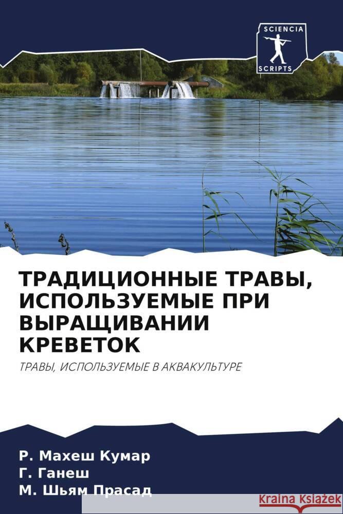 TRADICIONNYE TRAVY, ISPOL'ZUEMYE PRI VYRAShhIVANII KREVETOK KUMAR, R. MAHESH, Ganesh, G., Prasad, M. Sh'qm 9786204932620 Sciencia Scripts - książka