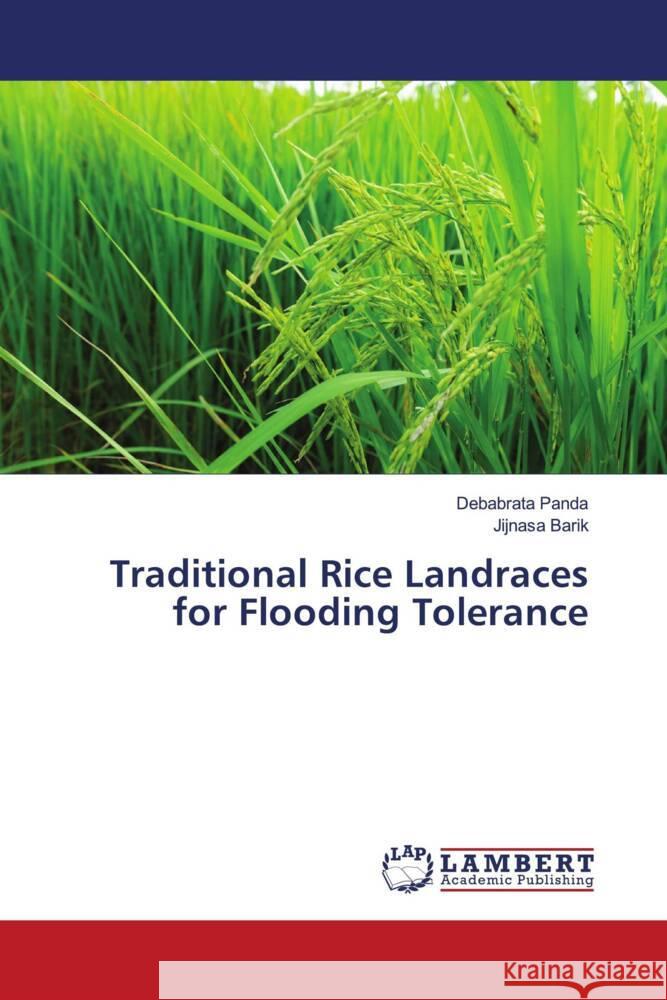 Traditional Rice Landraces for Flooding Tolerance Panda, Debabrata, Barik, Jijnasa 9786205492420 LAP Lambert Academic Publishing - książka