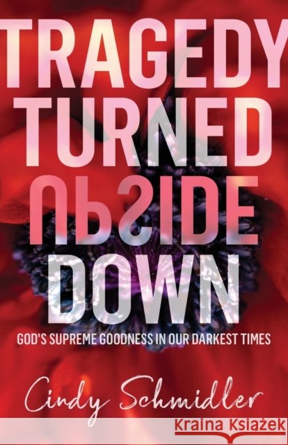 Tragedy Turned Upside Down Cindy Schmidler 9781632968005 Lucid Books - książka
