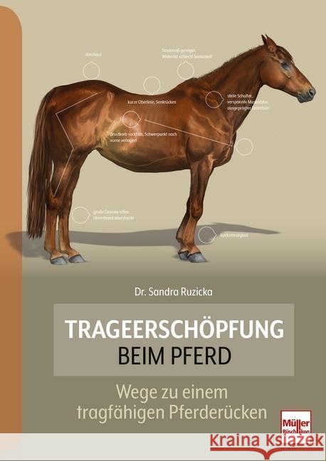 Trageerschöpfung beim Pferd Ruzicka, Sandra 9783275022830 Müller Rüschlikon - książka