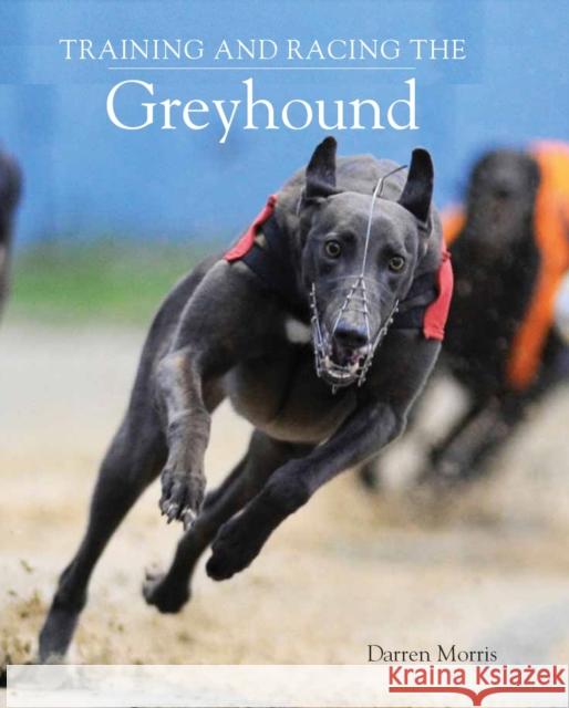 Training and Racing the Greyhound Darren Morris 9780719840982 The Crowood Press Ltd - książka