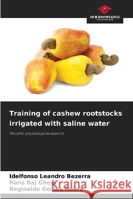 Training of cashew rootstocks irrigated with saline water Idelfonso Leandr Hans Ra Reginaldo Gome 9786205709306 Our Knowledge Publishing - książka