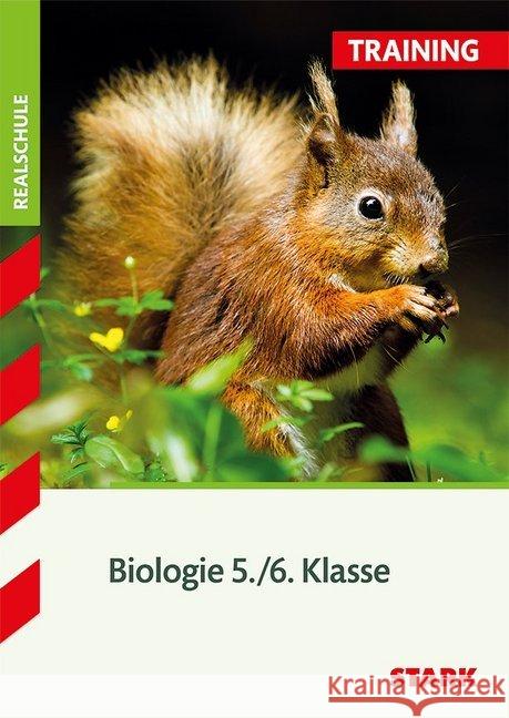 Training Realschule Biologie, 5./6. Klasse : 5./6. Klasse  9783849012748 Stark - książka