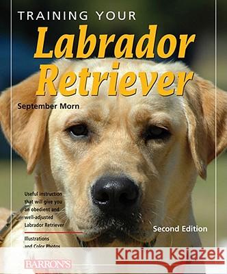 Training Your Labrador Retriever September Morn 9780764142550  - książka