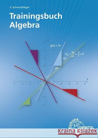 Trainingsbuch Algebra Schwerdtfeger, Eugen 9783808584927 Europa-Lehrmittel - książka