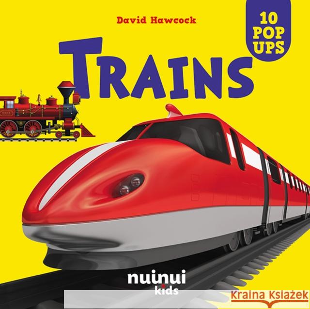 Trains  9782889751334 nuinui - książka