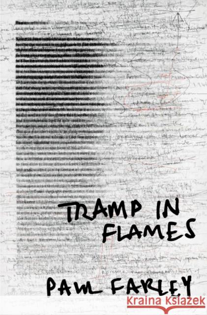 Tramp in Flames Paul Farley 9780330440073 PAN MACMILLAN - książka