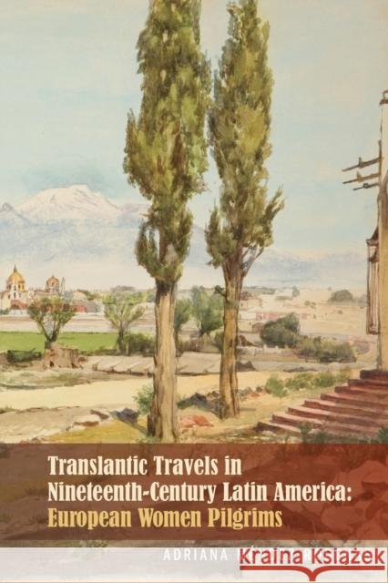 Transatlantic Travels in Nineteenth-Century Latin America: European Women Pilgrims  9781611488203 Bucknell University Press - książka