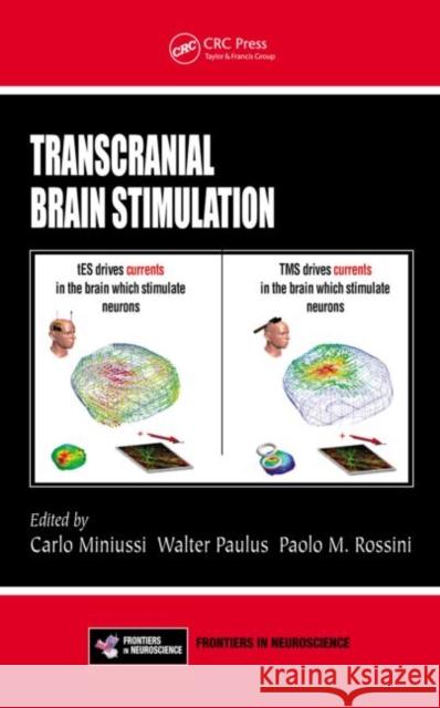Transcranial Brain Stimulation Carlo Miniussi Walter Paulus Paolo M. Rossini 9781439875704 CRC Press - książka