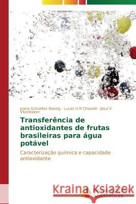 Transferência de antioxidantes de frutas brasileiras para água potável Schuelter Boeing Joana 9783639741063 Novas Edicoes Academicas - książka