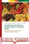 Transferência de Calor na Pasteurização de Polpas de Frutas Pereira de Ataíde, Jair Stefanini 9786202179669 Novas Edicioes Academicas
