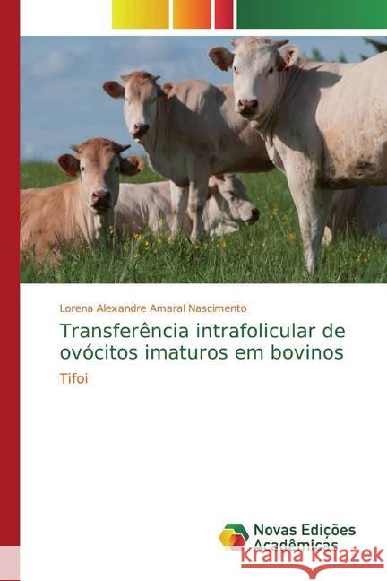 Transferência intrafolicular de ovócitos imaturos em bovinos : Tifoi Amaral Nascimento, Lorena Alexandre 9786202191999 Novas Edicioes Academicas - książka