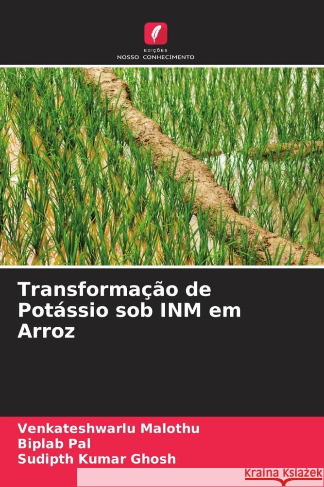 Transformação de Potássio sob INM em Arroz Malothu, Venkateshwarlu, Pal, Biplab, Ghosh, Sudipth Kumar 9786205126806 Edições Nosso Conhecimento - książka