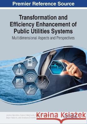 Transformation and Efficiency Enhancement of Public Utilities Systems: Multidimensional Aspects and Perspectives Jordan Gjorchev Samoil Malcheski Tamara Radenovic 9781668477342 IGI Global - książka