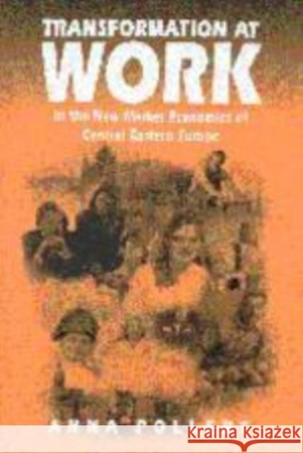 Transformation at Work: In the New Market Economies of Central Eastern Europe Pollert, Anna 9780761952305 SAGE Publications Ltd - książka