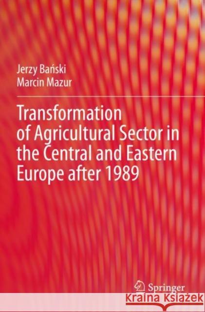 Transformation of Agricultural Sector in the Central and Eastern Europe after 1989 Jerzy Bański, Marcin Mazur 9783030737689 Springer International Publishing - książka