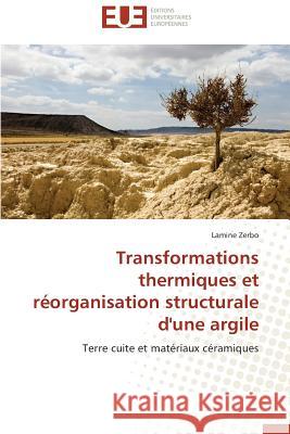 Transformations Thermiques Et Réorganisation Structurale d'Une Argile Zerbo-L 9783841737663 Editions Universitaires Europeennes - książka