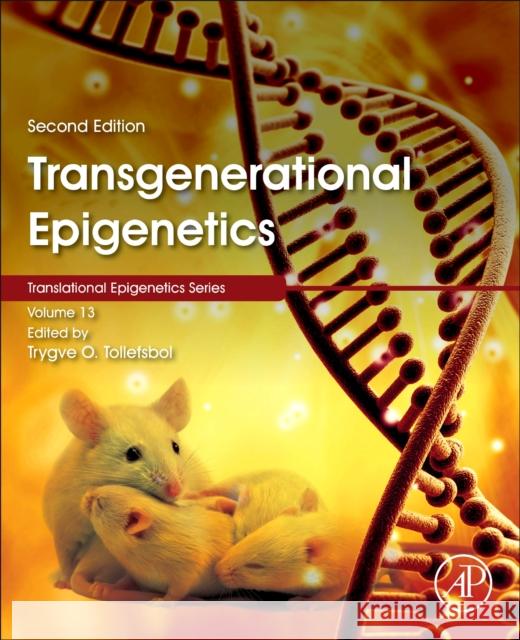 Transgenerational Epigenetics: Volume 13 Tollefsbol, Trygve 9780128163634 Academic Press - książka