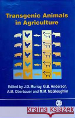 Transgenic Animals in Agriculture: Indian Print Murray, J.D., G.B. Anderson, A.M. Oberbauer & M.M. Gloughlin 9788189422073 New India Publishing Agency - książka