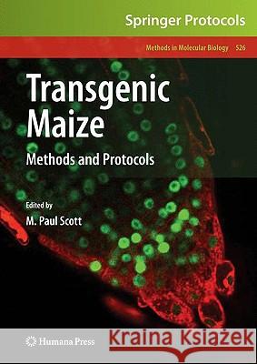 Transgenic Maize: Methods and Protocols Scott, M. Paul 9781934115497  - książka