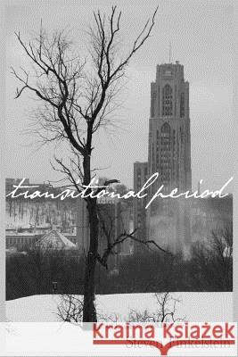 Transitional Period Steven Finkelstein 9781514835791 Createspace - książka