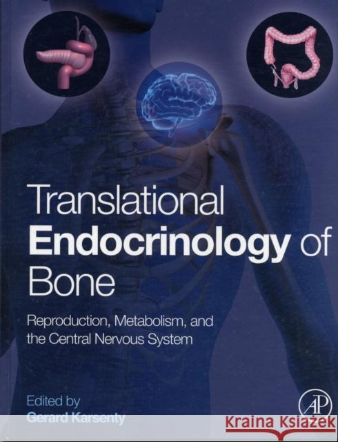 Translational Endocrinology of Bone: Reproduction, Metabolism, and the Central Nervous System Karsenty, Gerard 9780124157842 Academic Press - książka