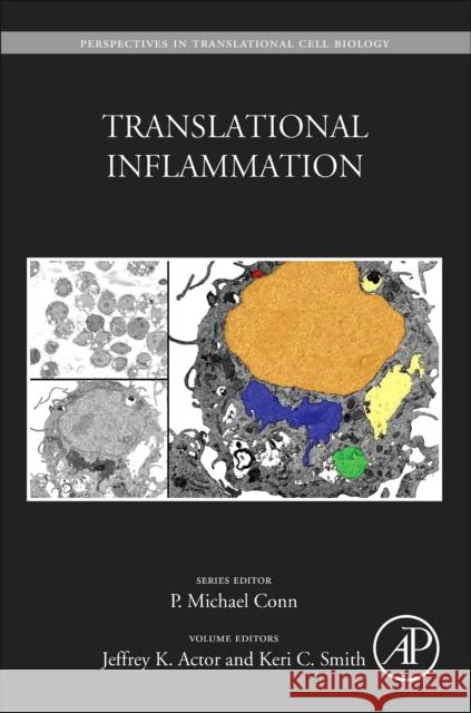 Translational Inflammation: Volume 4 Actor, Jeffrey 9780128138328 Academic Press - książka