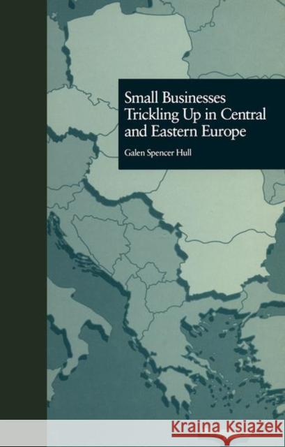 Transnational Business    9780815332046 Taylor & Francis - książka