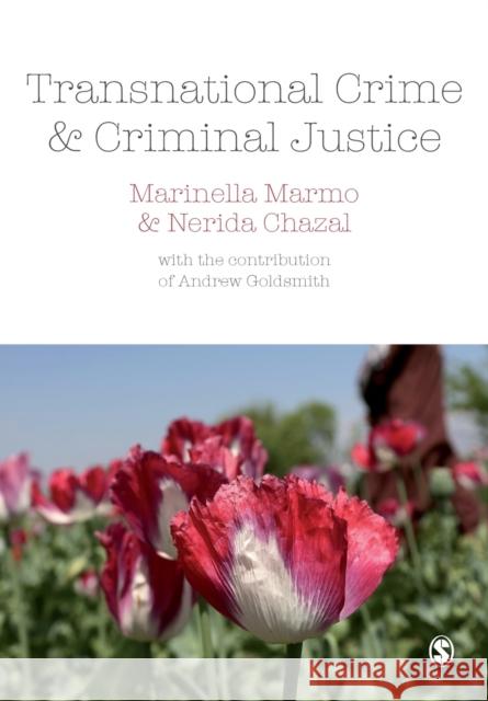 Transnational Crime and Criminal Justice Marinella Marmo Nerida Chazal 9781412919258 Sage Publications Ltd - książka