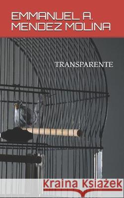 Transparente Emmanuel a. Mende 9781089235965 Independently Published - książka