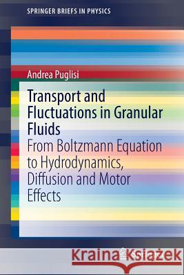 Transport and Fluctuations in Granular Fluids: From Boltzmann Equation to Hydrodynamics, Diffusion and Motor Effects Puglisi, Andrea 9783319102856 Springer - książka