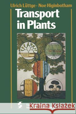 Transport in Plants U. Luttge N. Higinbotham 9781461596493 Springer - książka