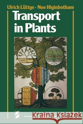 Transport in Plants Ulrich Luttge Noe Higinbotham 9783540903833 Springer - książka