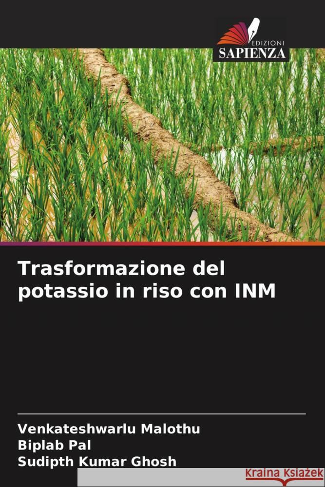 Trasformazione del potassio in riso con INM Malothu, Venkateshwarlu, Pal, Biplab, Ghosh, Sudipth Kumar 9786205126790 Edizioni Sapienza - książka