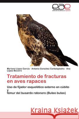 Tratamiento de fracturas en aves rapaces López García Mariano 9783847363088 Editorial Acad Mica Espa Ola - książka