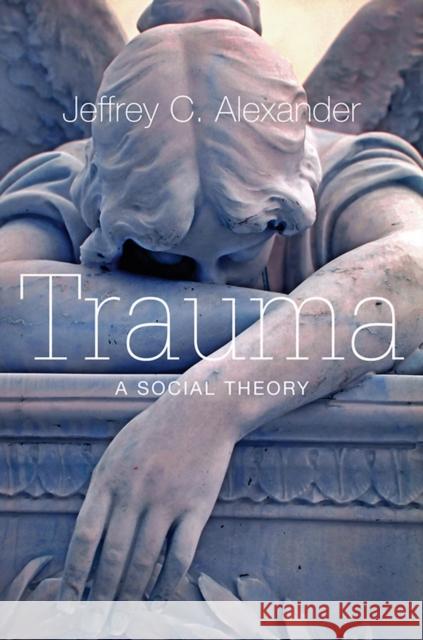 Trauma: A Social Theory Alexander, Jeffrey C. 9780745649115 Polity Press - książka