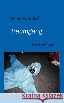 Traumgang: Eine Erzählung Jost, Annemarie 9783833408052 Books on Demand - książka